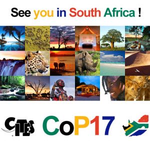 CITES CoP17 venue and dates announced for 2016 in South Africa