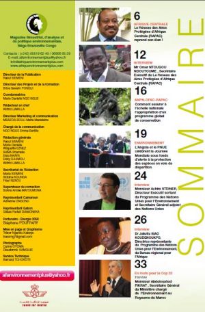 AFRIQUE ENVIRONNEMENT PLUS : May-June 2016 Issue