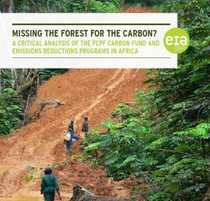 EIA: Missing the forest for the carbon?