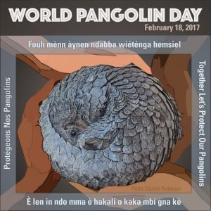 La célébration de la Journée mondiale du Pangolin 2017