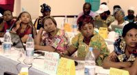 Le Réseau des Femmes Entrepreneurs des Forêts Modèles d’Afrique