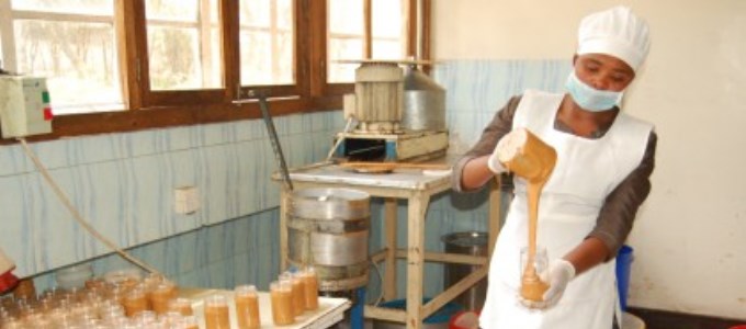 Arusha Women Entrepreneurs which trains and employs women in the production and marketing of aflatoxin-free peanut butter was one of the 2014 SEED Award winners