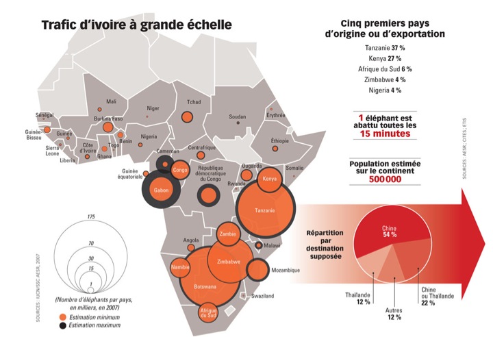docs/news/Juin-Aout-2013/LAB-Traffic-Graphique-Jeune-Afrique.jpg